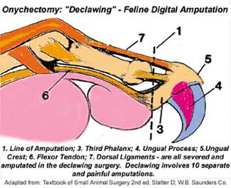 Declaw