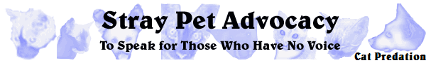 Cat Predation